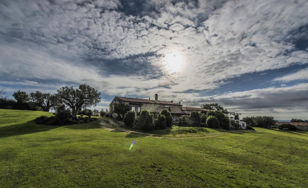 Agriturismo Cerrosughero Canino Exterior foto